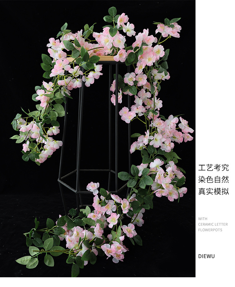 樱花_20.jpg