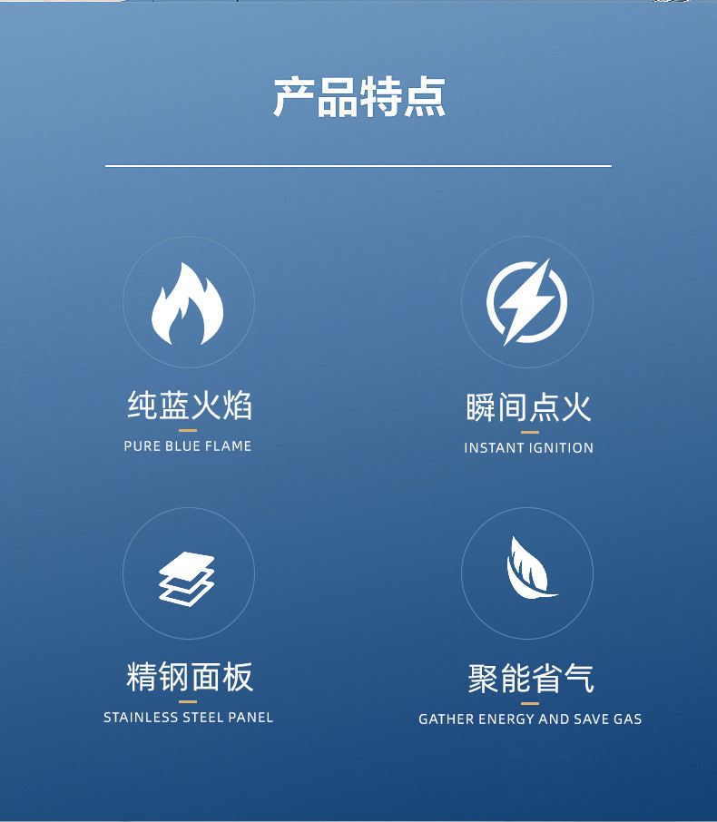 厂家跨境双眼燃气灶热销商用煤气灶不锈钢液化气炉具厨具批发销售详情4
