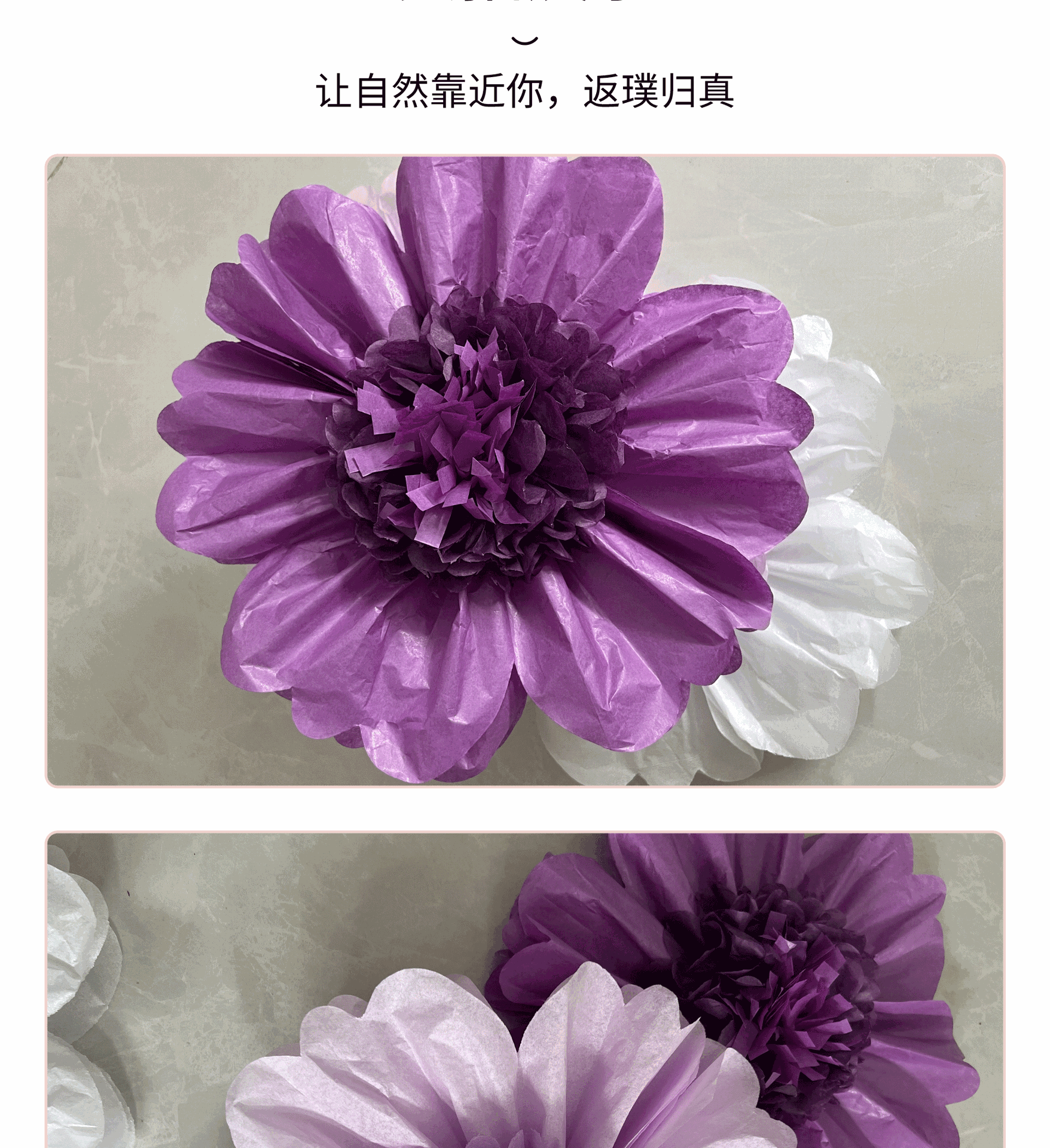 跨镜爆品现货深浅紫丁香紫色大纸花组合装60cm24inch带花心工艺品详情8