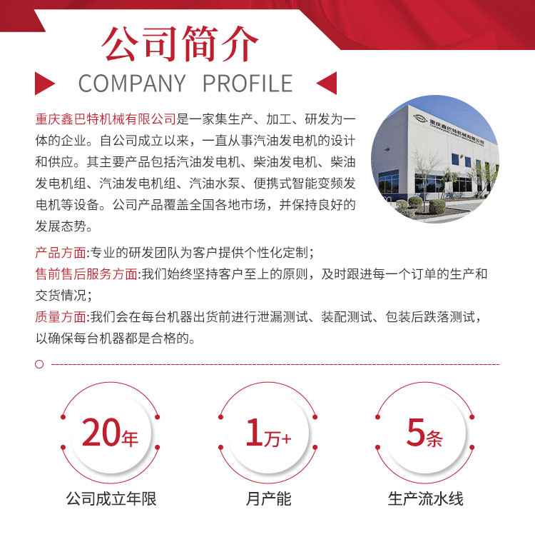 便携式户外小型应急家用3 5 8kw 10千瓦工业汽油发电机220V厂家详情2