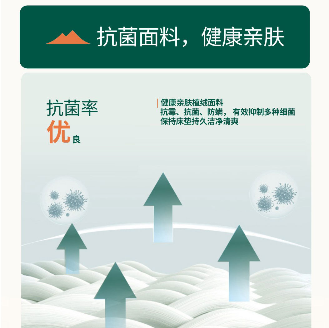 品牌新品直拉带气垫床充气床垫PVC充气床单人气垫床加高床垫植绒详情8