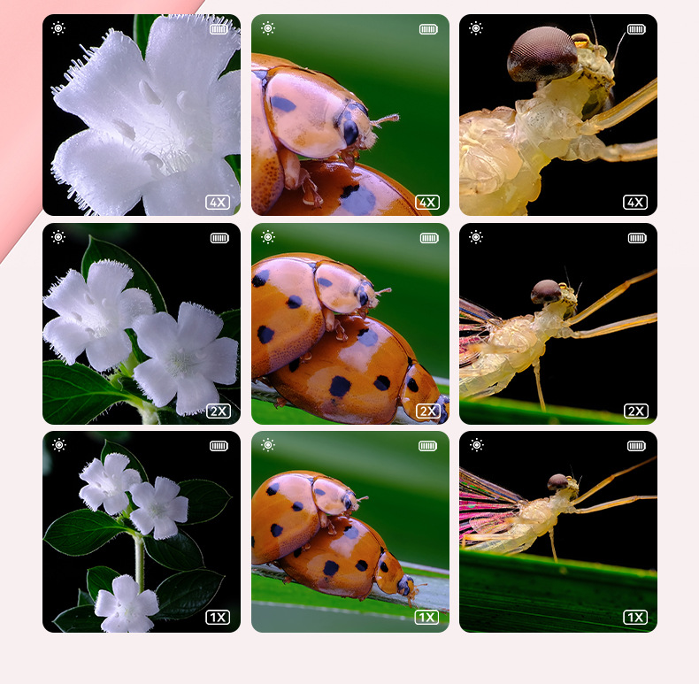 新品355儿童数码显微镜 学生便携式手持2寸IPS高清显微镜一件代发详情6
