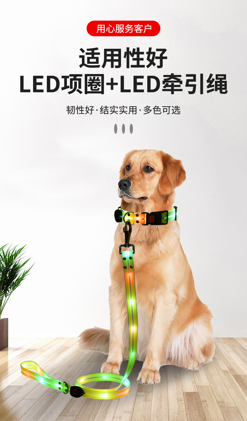LED light-emitting collar, usb charging pet collar with light, pvc rubber-coated webbing dog leash, luminous dog collar pic 2