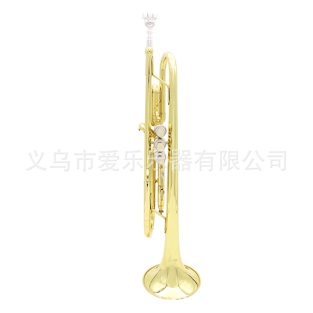 Student and adult performance of Trumpet, a brass trumpet in B-flat pic 11