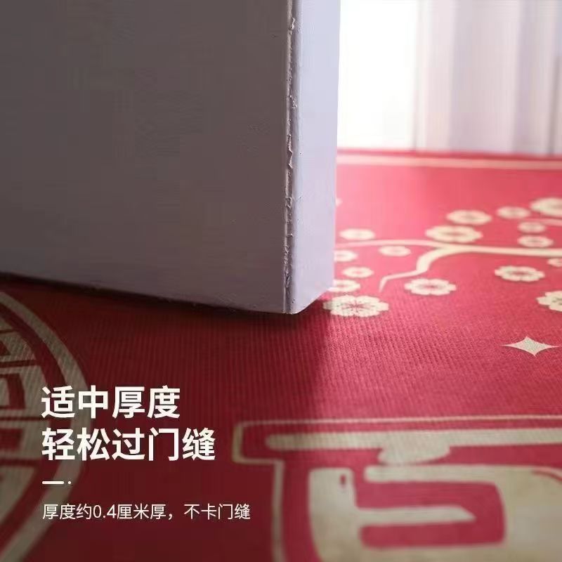 入户门地垫进门高级感脚垫门口垫子入户门地垫家用高端耐脏大地毯详情1