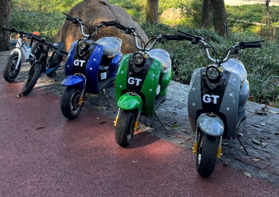 跨境电动小龟王电动车 36v儿童迷你两轮摩托铅酸电瓶车多色可选详情5