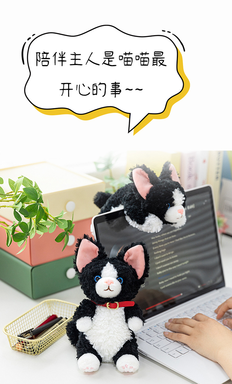 掌中宝德文卷毛猫可爱毛绒玩具玩偶公仔桌面摆件桌垫动物公仔礼物详情14