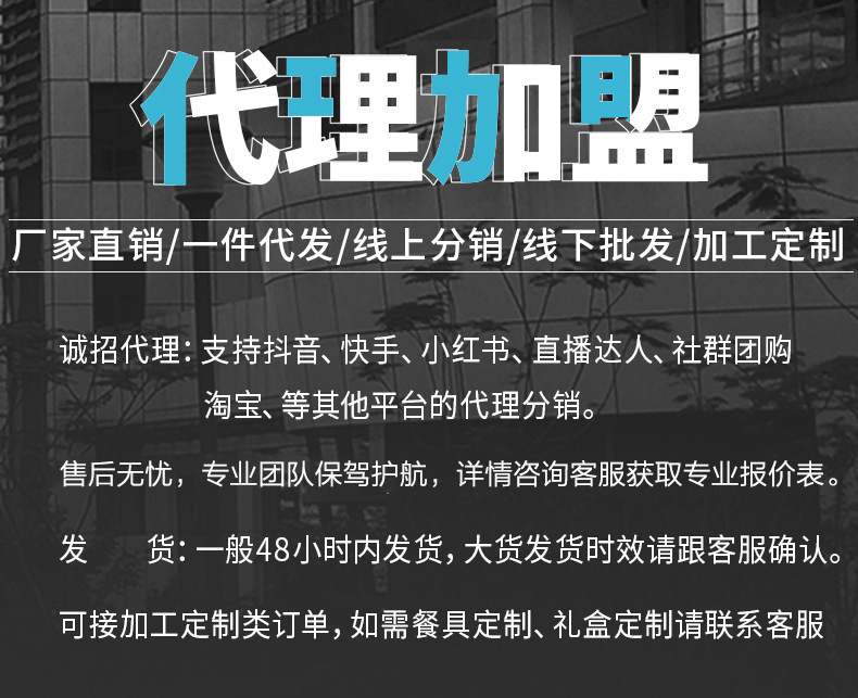 家用饭碗盘子日式送礼网红餐具碗筷套装釉下彩碗碟套装陶瓷餐具详情36