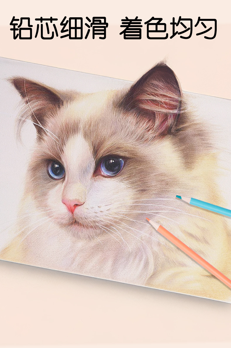 Weibo炜搏木质12色彩铅马卡龙儿童美术绘图画画涂鸦高级填色批发详情6