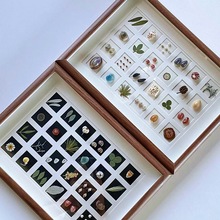 相框中空标本框木质玻璃立体黑色蝴蝶昆虫装裱自装摆台展示画框详情26