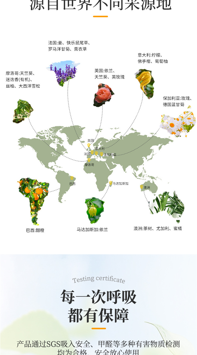 100%纯植物萃取精油跨境亚马逊高质量香薰精油美容院按摩单方精油详情3