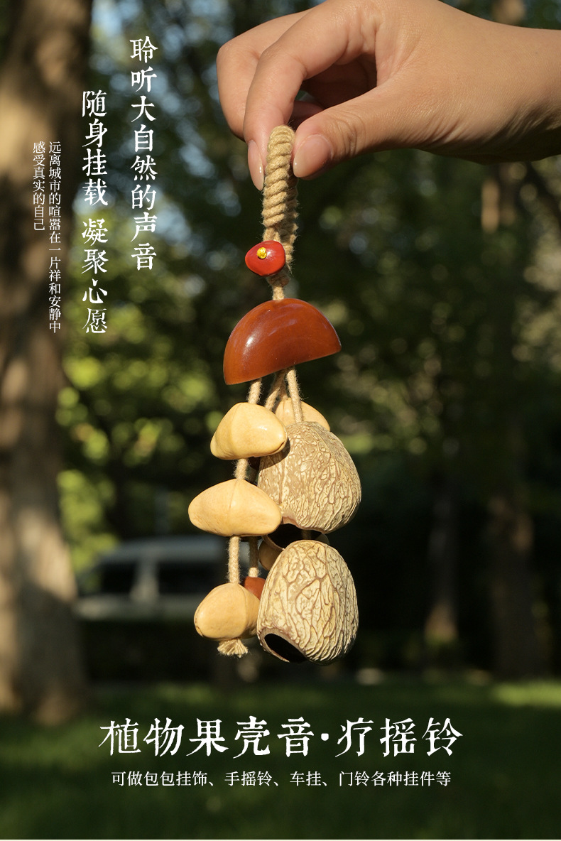 果壳手摇种子果实铃铛串挂件音乐伴奏治愈音疗乐器瑜伽冥想详情1