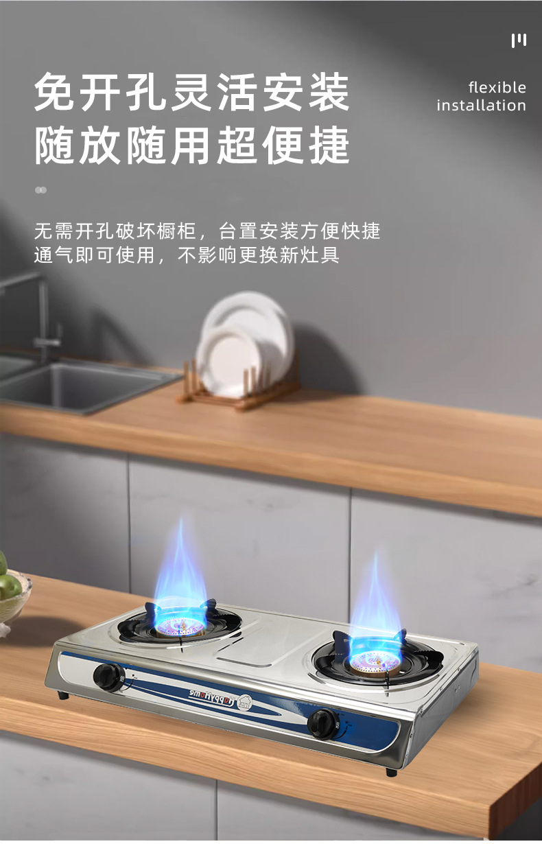 厂家跨境双眼燃气灶热销商用煤气灶不锈钢液化气炉具厨具批发销售详情11