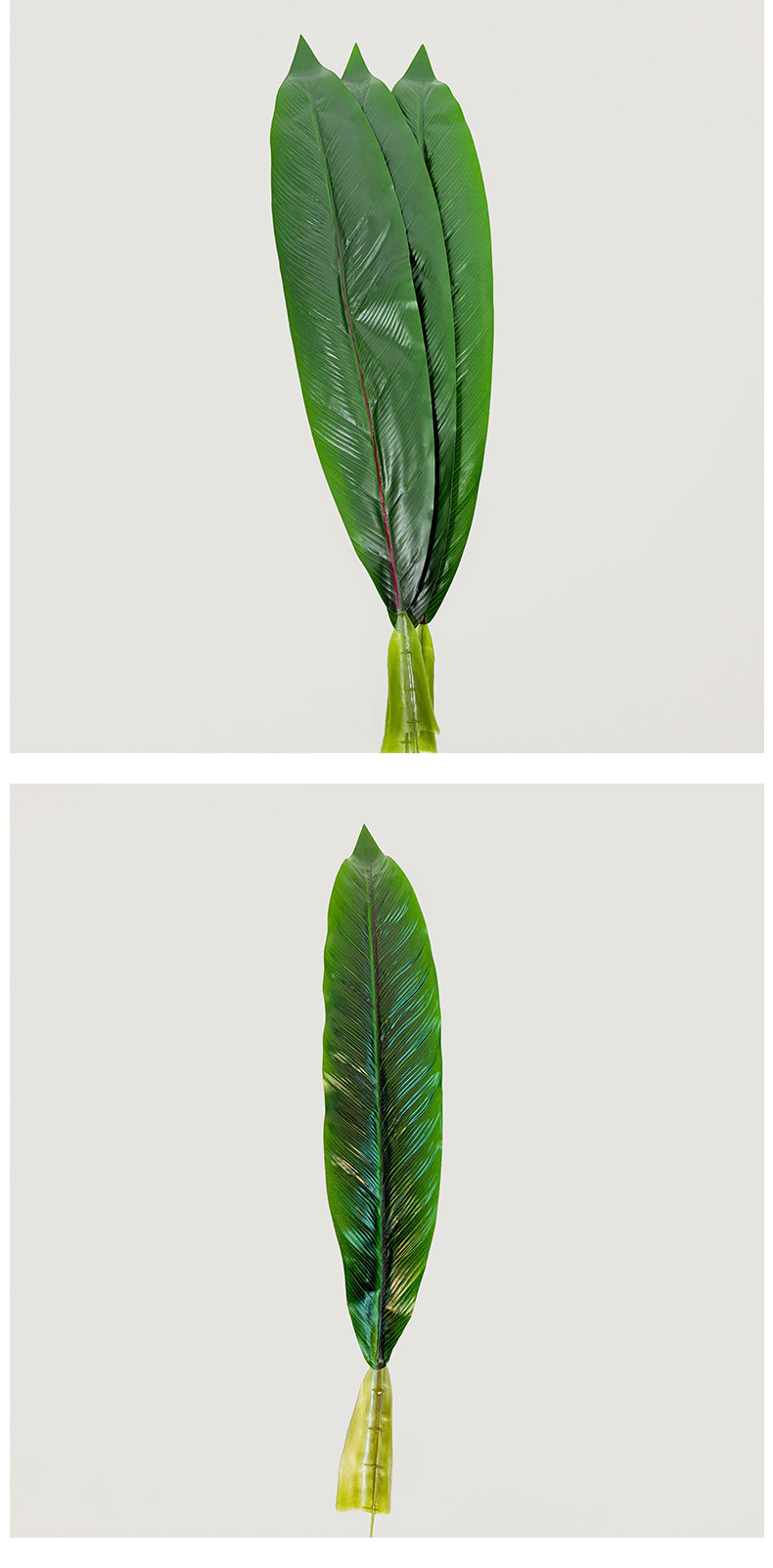 新款仿真叶子加厚仿真芭蕉叶婚庆仿真花摆件旅人蕉室内造景装饰叶详情7