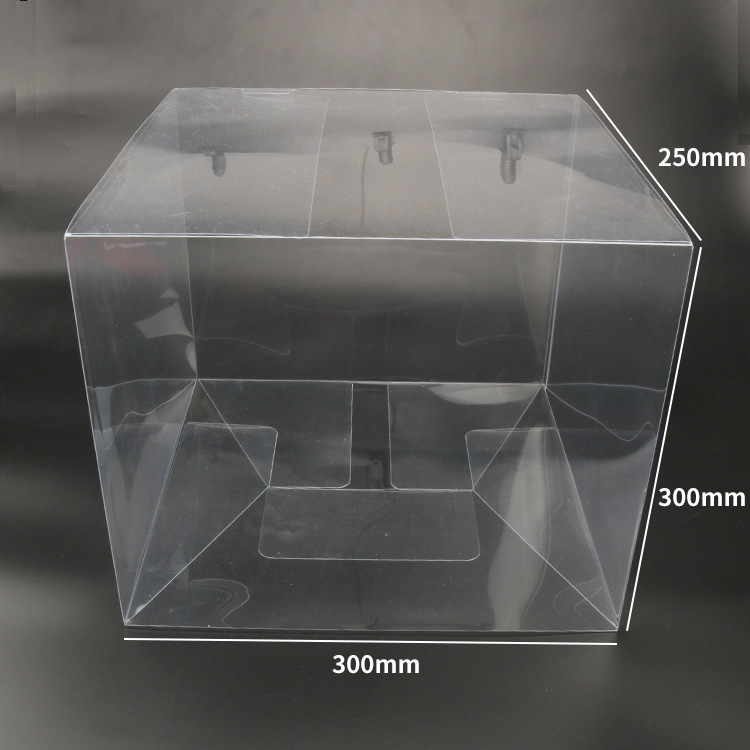 300x300x250mm