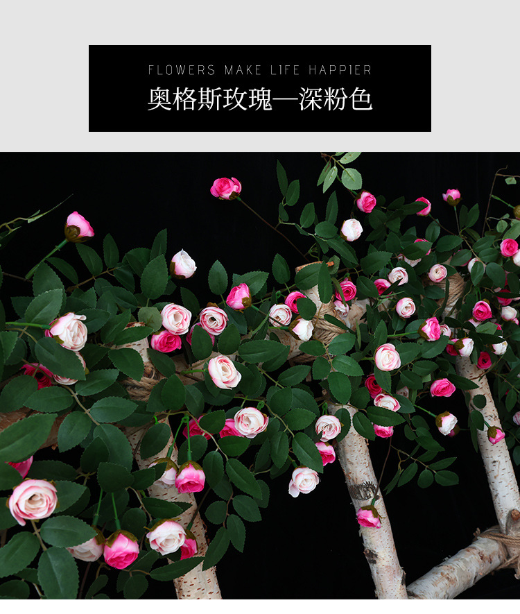未标题-1_24
