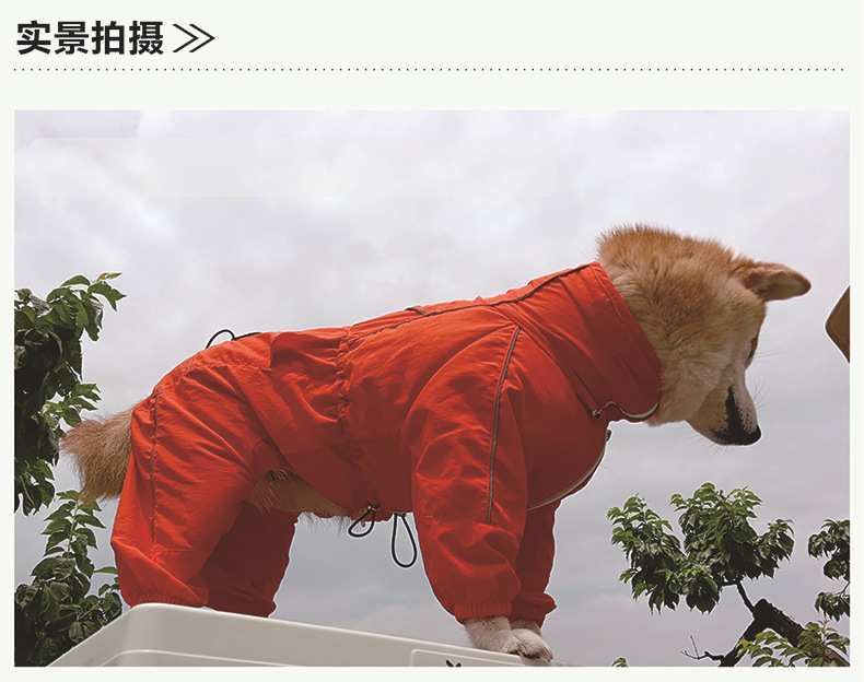 贝欧beow亲宠狗狗冲锋衣防风防泼溅抗静电保暖御寒可调节冲锋衣服详情9