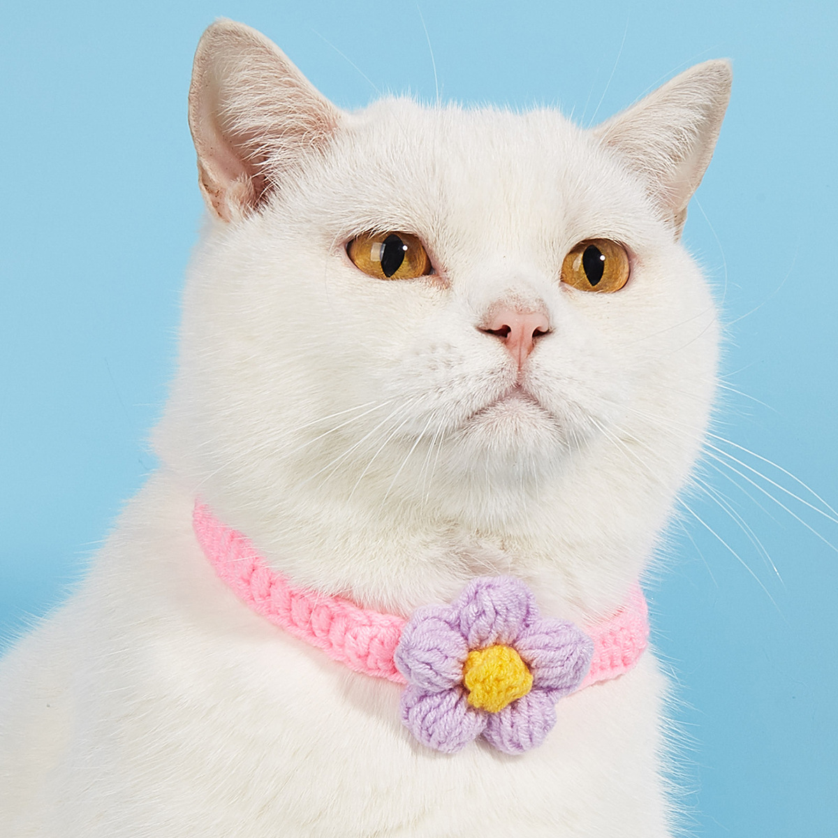 福利打折猫咪项圈卡通蝴蝶结大小可调纯手工编织猫咪饰品厂家直销详情22
