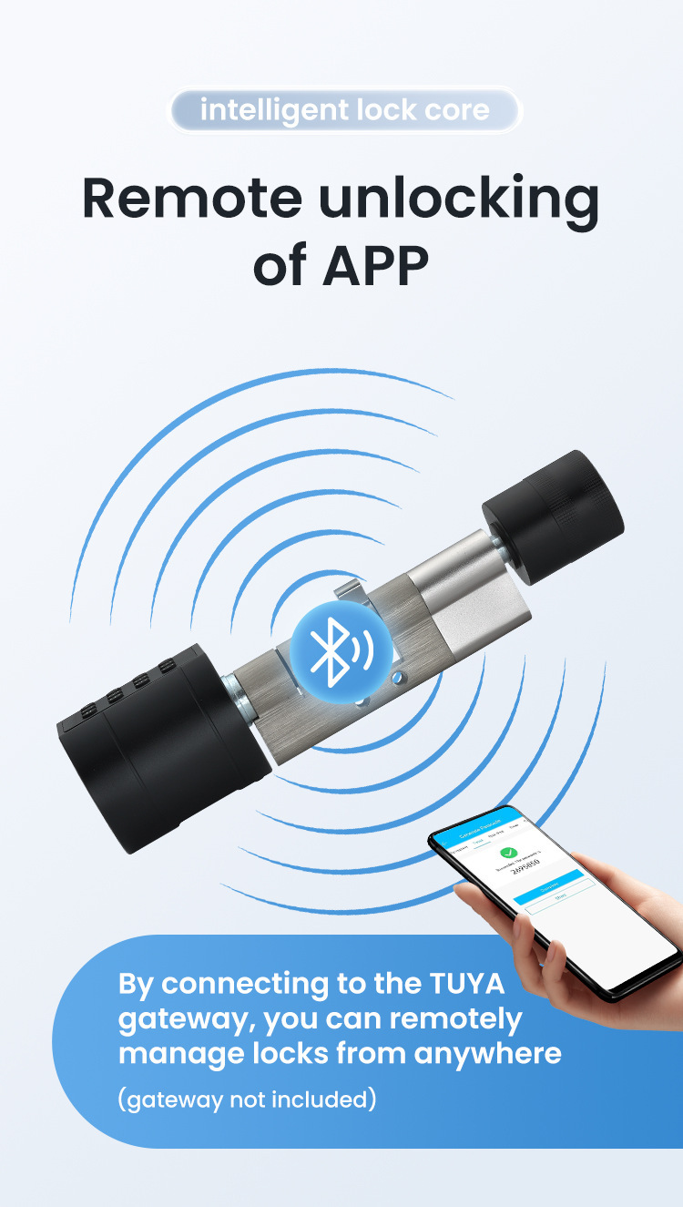 Cross-border smart lock core, graffiti all Bluetooth fingerprint password lock, indoor office apartment adjustable smart door lock pic 7