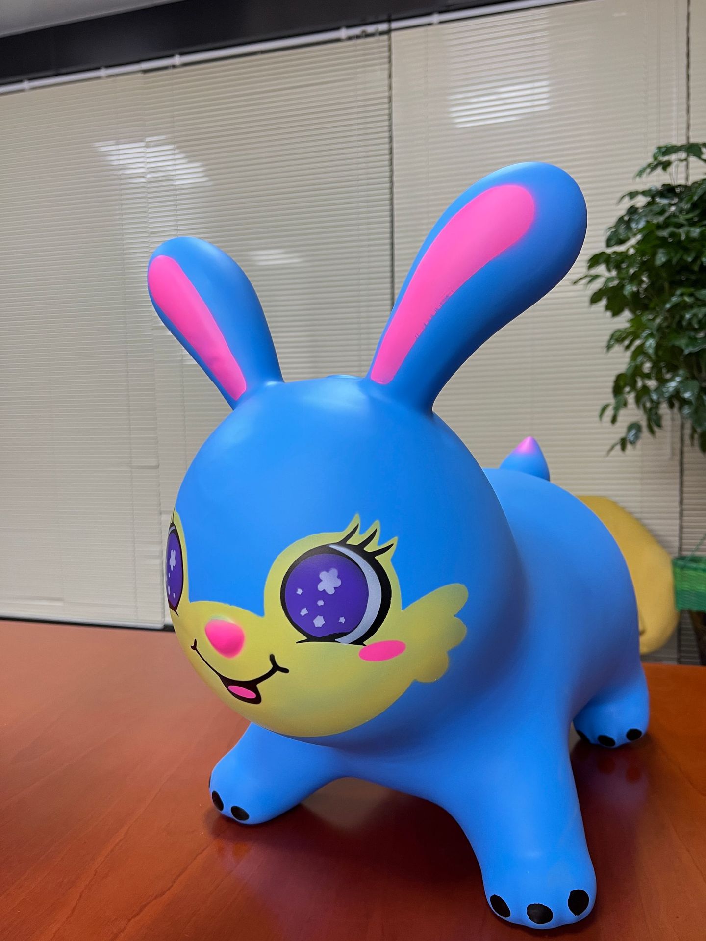 Painted Cute Rabbit 1350G with music pic 9
