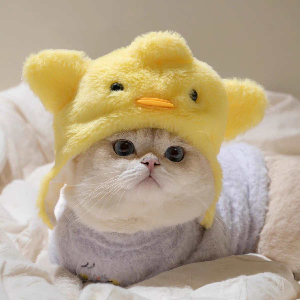 跨境宠物帽子装饰头套毛绒变装小狗狗猫咪比熊可爱拍照头饰搞怪详情3