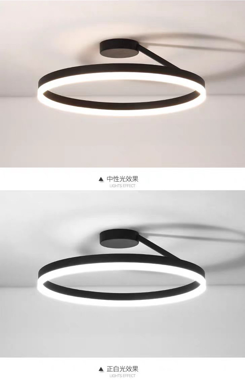 Ceiling light, circular bedroom light, minimalist ins cross-border study, modern and simple LED, master bedroom, dining room, balcony ceiling light pic 9