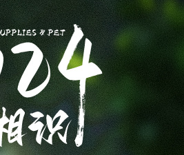 新款跨境宠物牵引绳 可斜挎可调节遛狗绳云朵泡泡棉不勒手P绳批发详情5