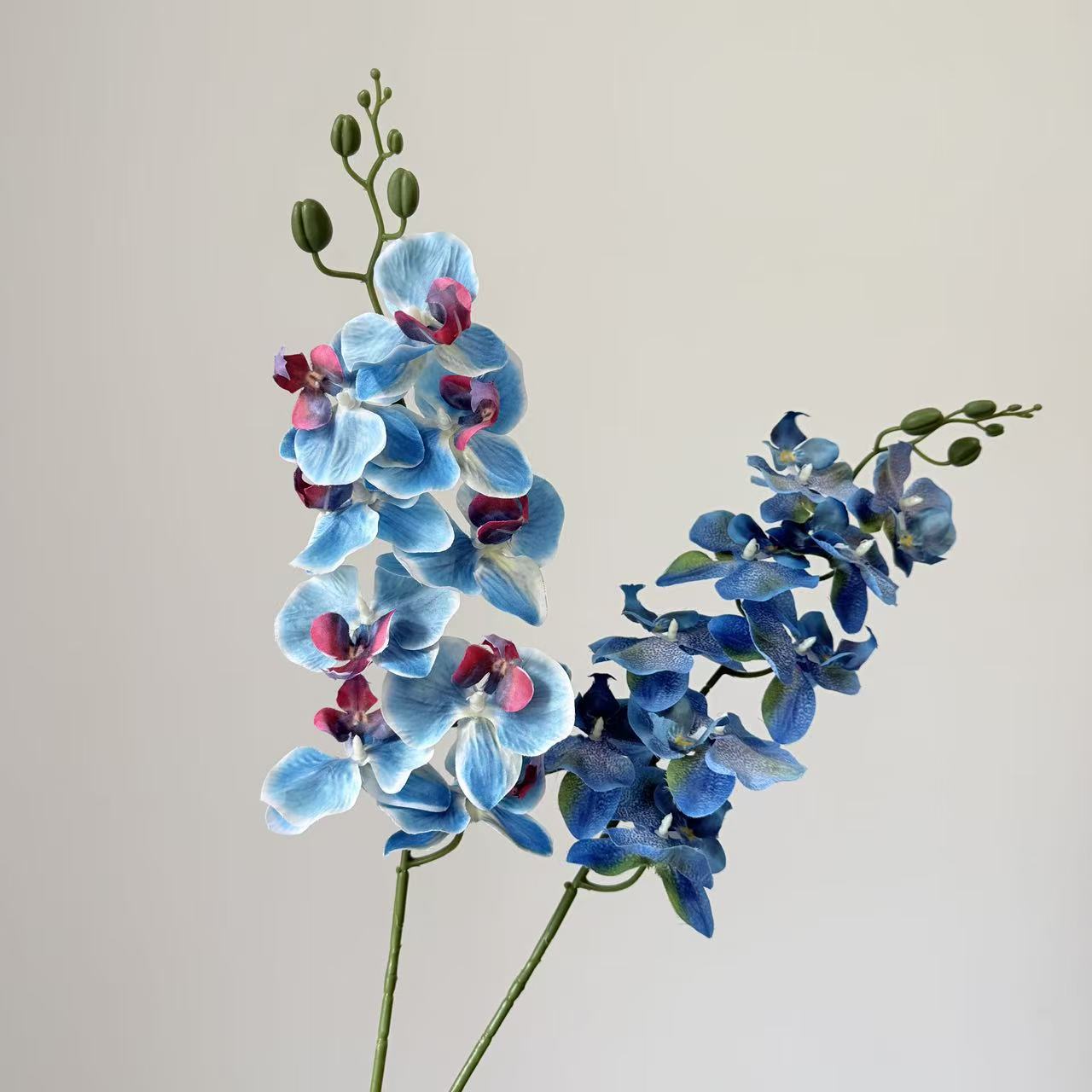 9头蝴蝶兰仿真花手感高级感逼真假花兰花艺场景布置酒店婚庆用花详情8