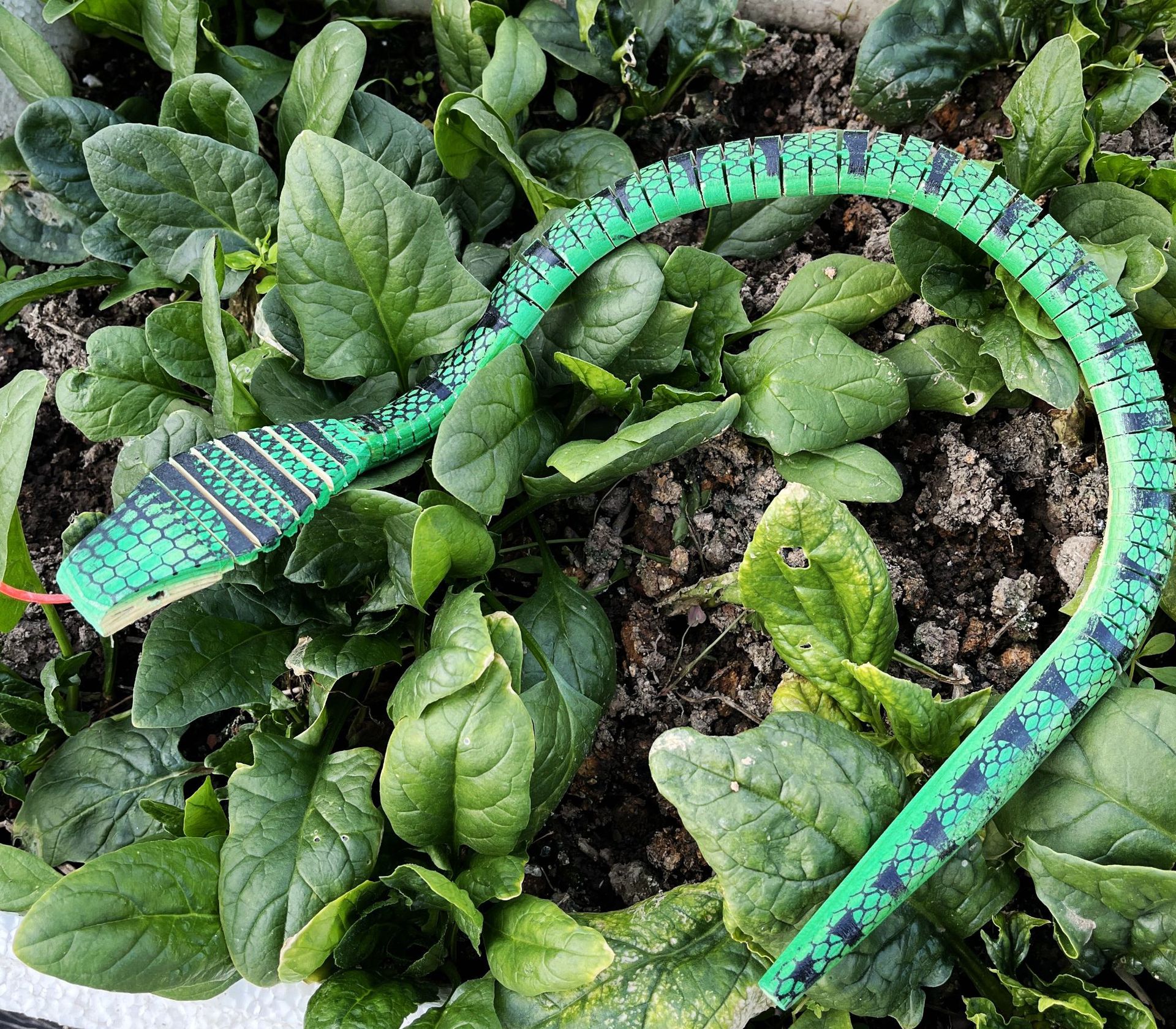 木制圆头蛇仿真眼镜蛇50-60-70cm木头蛇地摊热销整蛊玩具蛇批发详情14