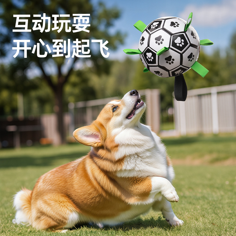 Dog toy balls, teething and biting resistant, dog football, outdoor special touring training balls, wholesale pet toys pic 4