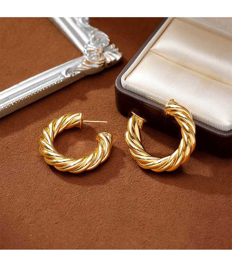 Hyacinth moda europea y americana personalidad temperamento moda orejeras minimalistas pendientes de aro de metal industria pesada alto grado sentido orejeras de oro pic 10