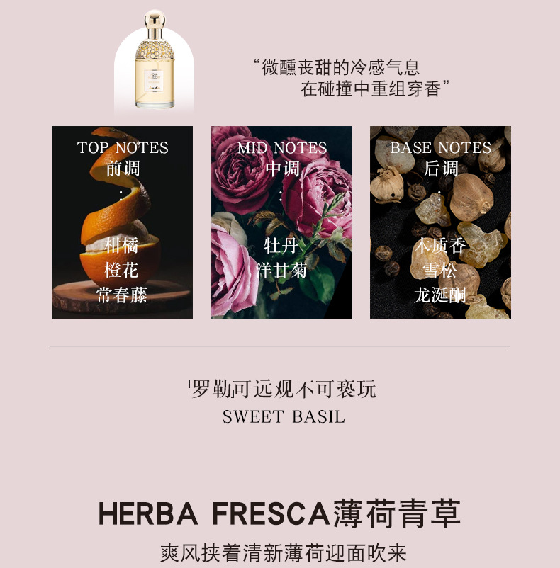 小城伊香品牌花草水语女士香水持久自然花果淡香学生平价香水批发男士香水六区香水香水玻璃瓶定製香水详情8