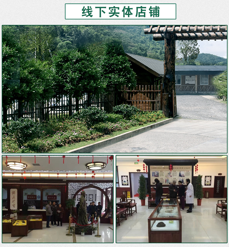 铁皮石斛苗裸苗1斤5-6月花期石斛基地批量发货种植新鲜发货大货详情13