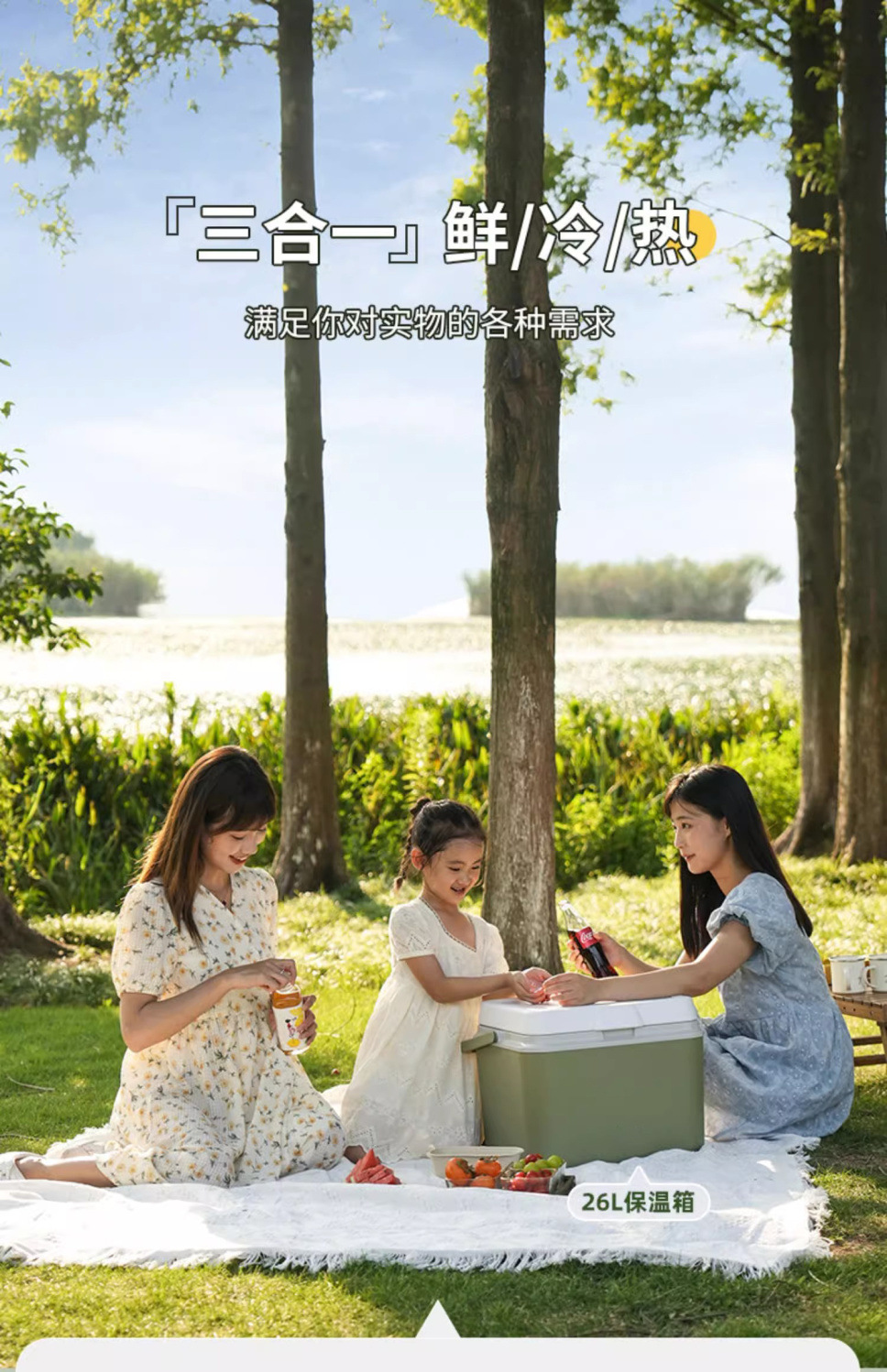 保温箱商用摆摊保冷保鲜车载户外冰箱野餐便携手提冰桶家用冷藏箱详情5