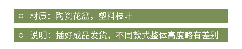 仿真绿植假花摆件龟背叶小盆栽办公桌面室客厅茶几植物摆设装饰品详情4
