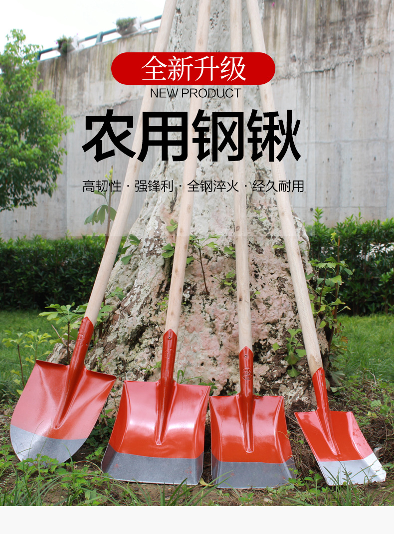 铁锹锰钢全钢加厚木柄钢锹煤锹种花尖方平头锹农用泥锹园林工具详情4
