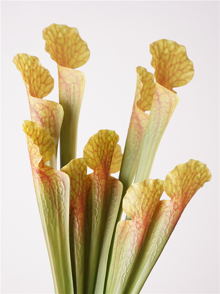 瓶子草高级感is简约风仿真花植物配件婚礼装饰批发花材花艺装饰详情4