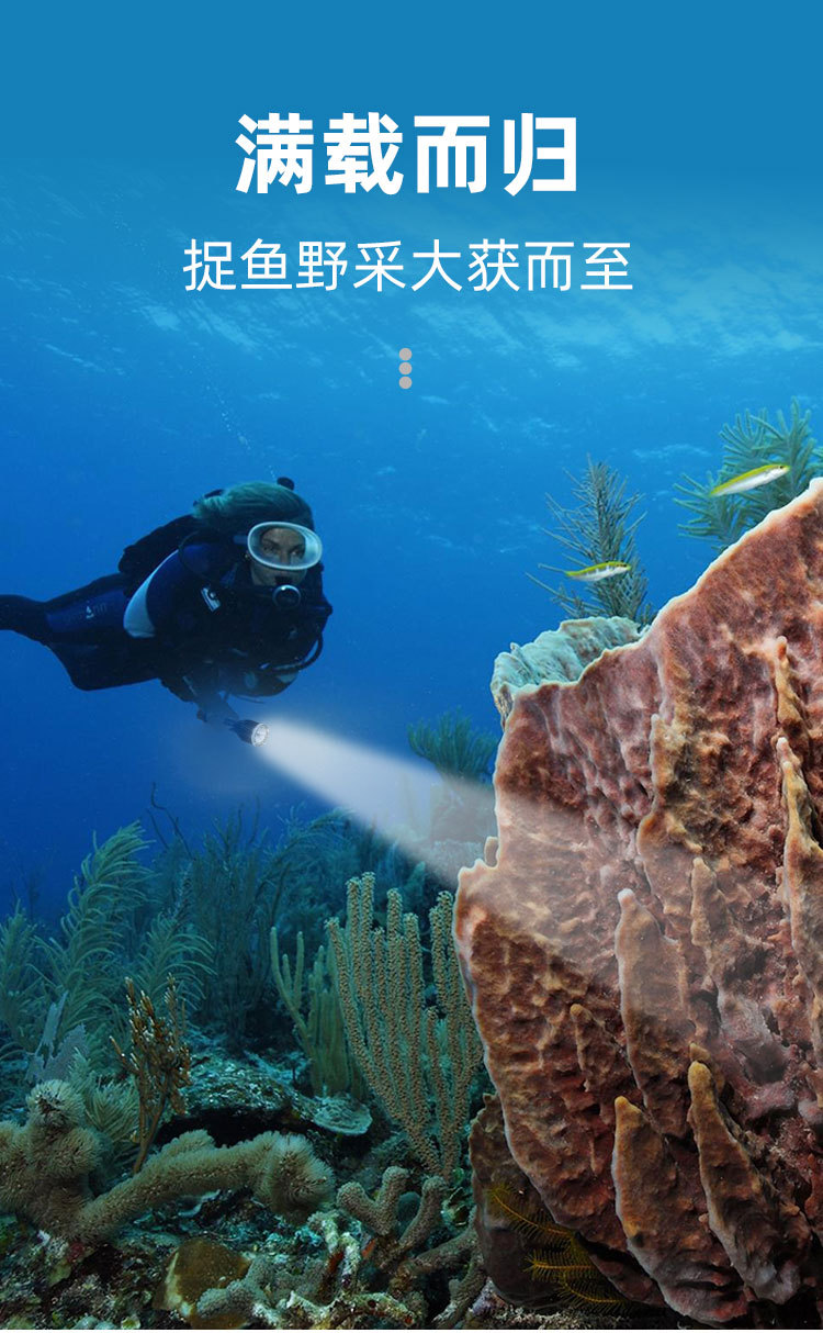 The new cross-border t40 high-intensity flashlight is a dual-purpose water and land charging fixed-focus ipx8 professional diving photography flashlight pic 4
