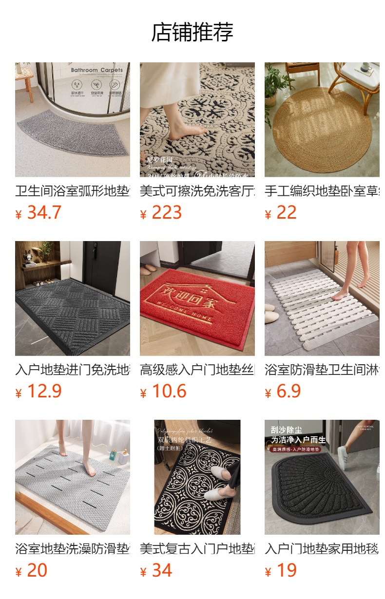 跨境高级感入户门地垫丝圈进门门口脚垫入户门垫蹭土脚垫进户地毯详情1