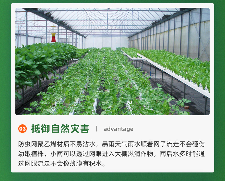 聚乙烯防虫网代发大棚防虫网60目果园防虫网罩跨境裁片防虫网详情7