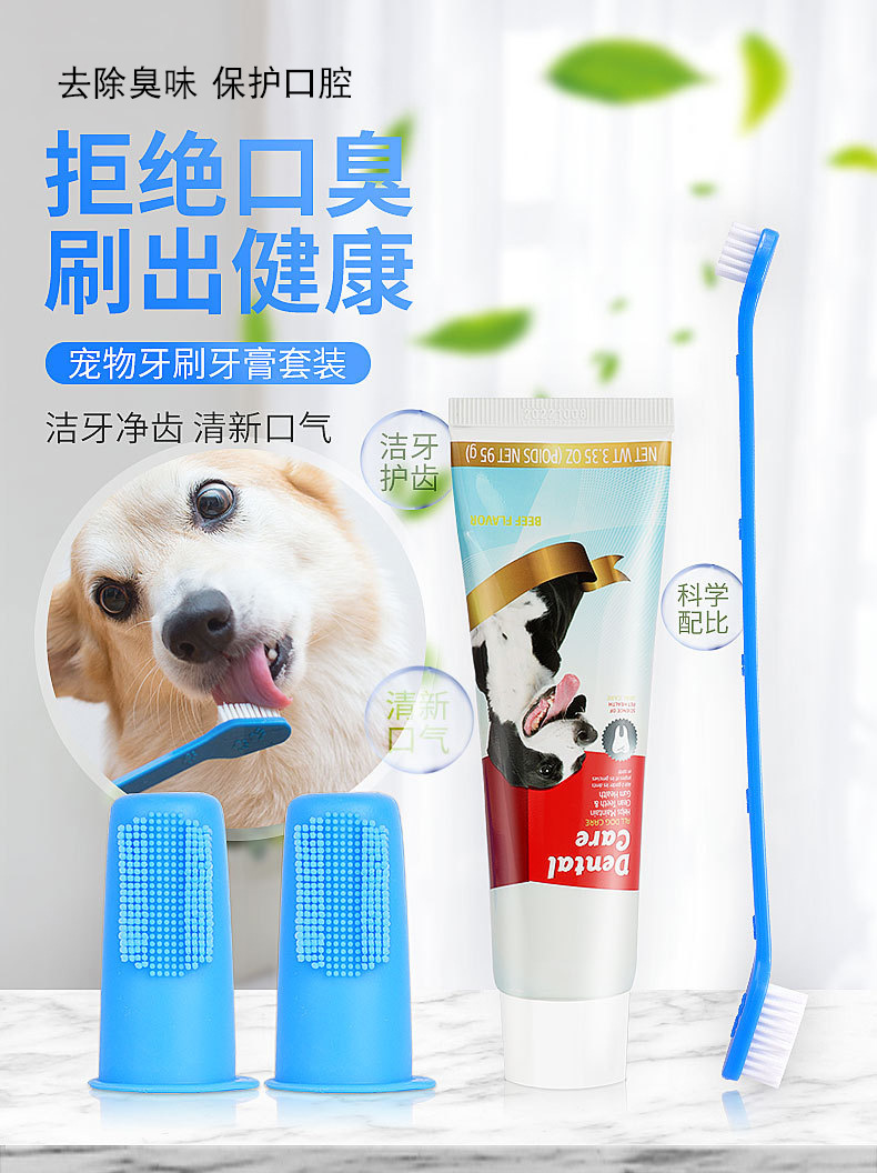 Pet toothbrush and toothpaste 4-piece set, pet dog oral cleaning toothbrush and toothpaste set, dog beef-flavored toothpaste pic 5