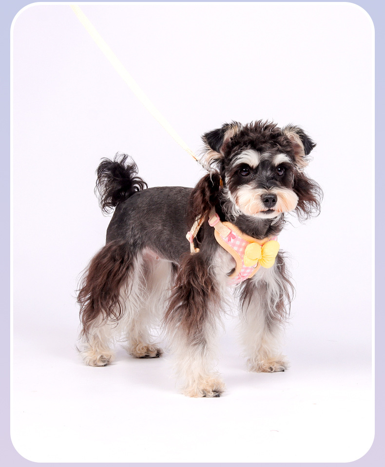 New dog leash, pet puppy chest strap, Bichon Shiba Inu, Schnauzer breathable outdoor dog leash pic 17