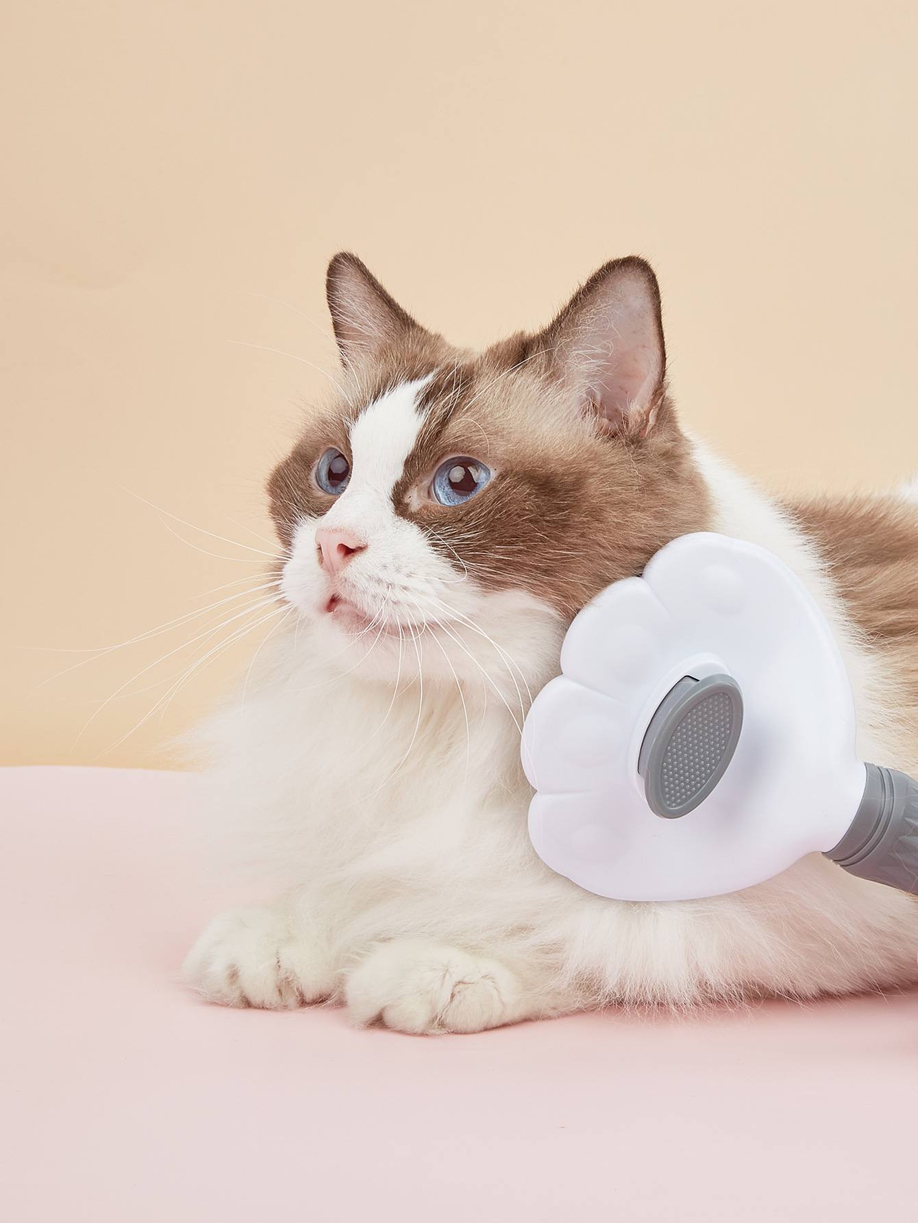 Cross-border best-selling cat combs that are easy to shed and do not tangle. Direct supply of cat floating hair combs from the manufacturer. Pet cleaning products pic 27