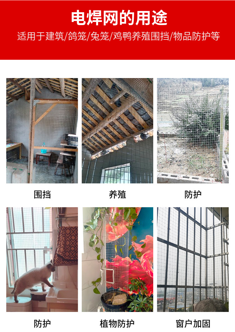 dhw详情1