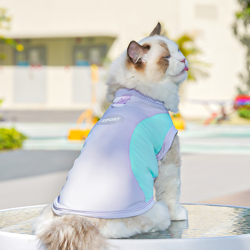 春夏季狗狗用品猫咪冰丝猫背心小中型犬外出防晒狗衣服宠物衣服详情34