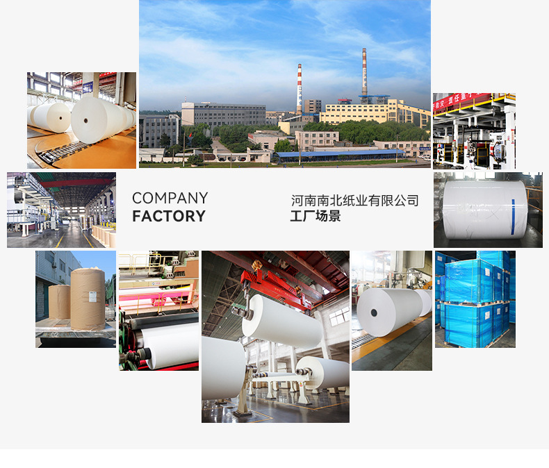 空气炸锅专用纸托圆形烘焙吸油纸食品级硅油纸不粘食物垫纸批发详情3