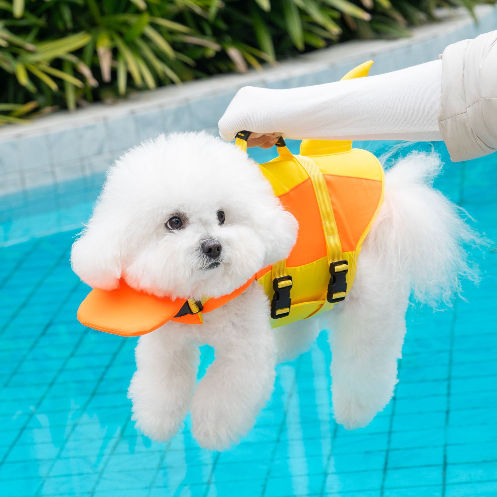 宠物项圈救生衣狗用宠物用品饰品项圈带防水透气舒适详情19