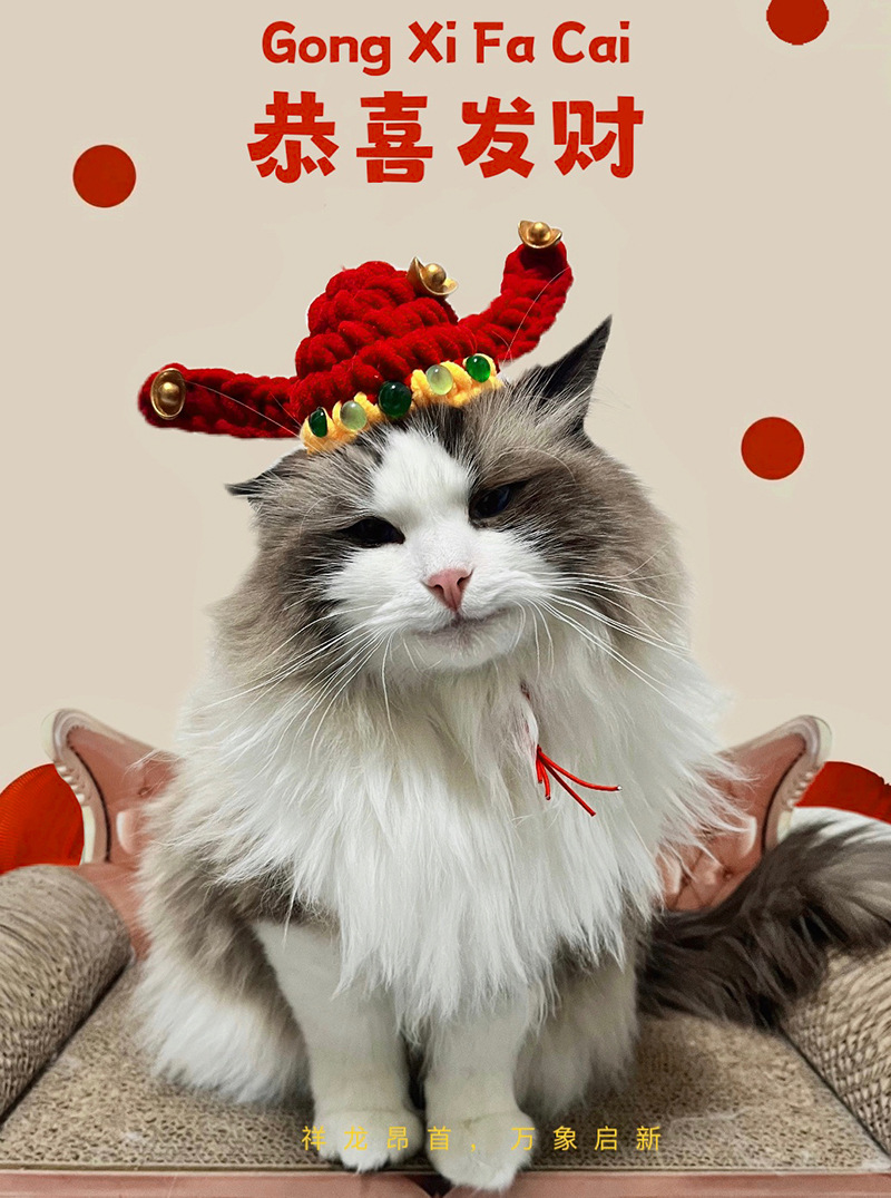 宠物财神爷帽子喜庆红色猫咪财神帽招财猫头套饰品狗狗过年拍照详情2