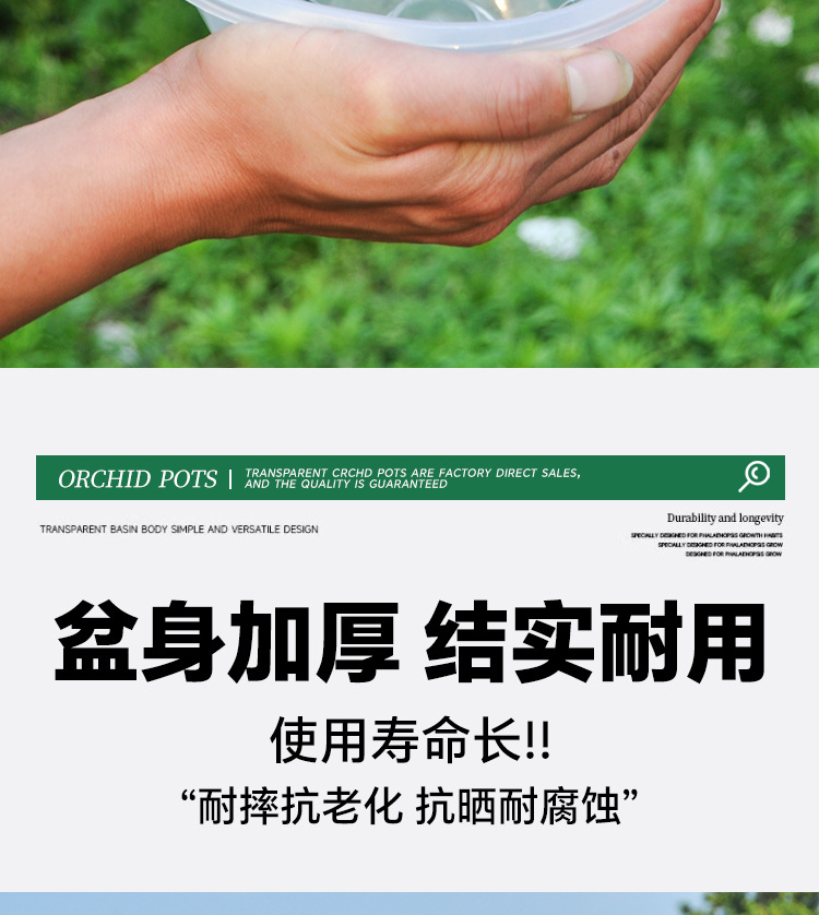 蝴蝶兰专用花盆空气柱透明青山盆特大号大口径塑料圆形桌面高花盆详情12