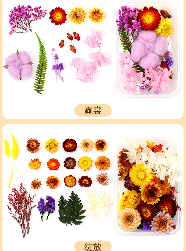 天然干花永生花假花仿真花团扇贴画材料包干花贺卡相框手工diy详情4